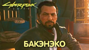 На мягких лапах. Cyberpunk 2077. Прохождение #20