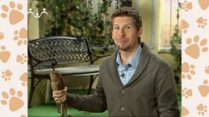 Лапы, крылья и хвосты. 35-й Выпуск. Про железную хватку