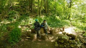 Exploration with my sons / Creamy chicken with pasta in the forest / Cooking lunch on pan