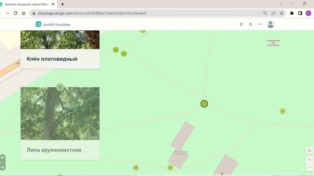 Аннотация. Зеленая экскурсия парка Маньковичи. Виртуальная экскурсия смотреть онлайн