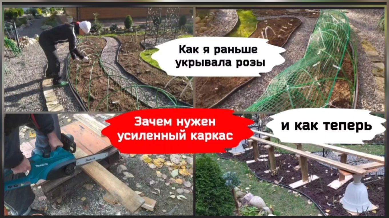 Как я раньше укрывала розы и как теперь.Зачем нужен усиленный каркас ( 11.10. 2022 г.)