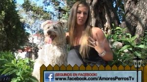 Amores Perros y Otros Amores   Programa 20   13 10 2012