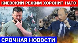 США не решатся начать войну из-за победы России на Украине