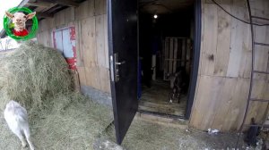 Чем отличается жизнь сельская от городской?