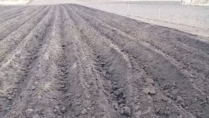 Минитрактор Уралец Сажаем картошку