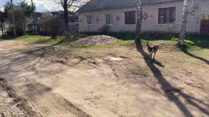 Новгородская область. Демянск.