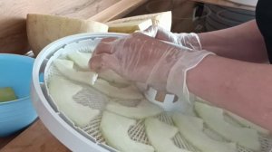 Как я сушу дыню в дегидраторе. Часть 1. Смотрим какая получилась пастила после приготовления.
