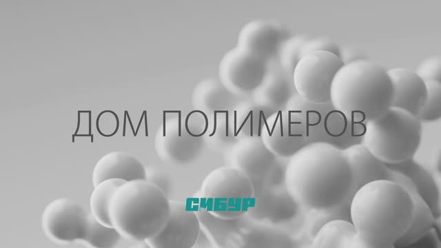 ДОМ ПОЛИМЕРОВ