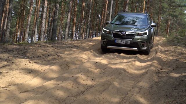 The new Subaru Forester ECO HYBRID Driving the forest