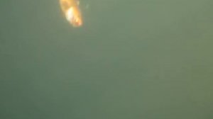 Рыбалка на Белом море.