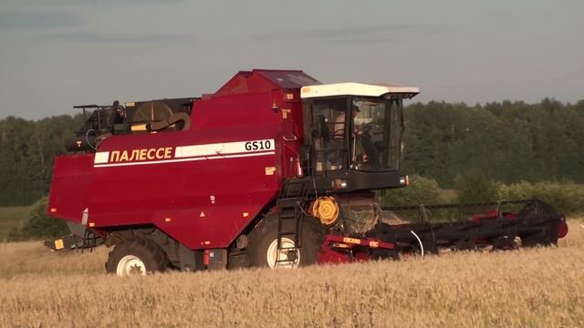CLAAS LEXION 670 и ПАЛЕССЕ GS10 на уборке пшеницы.