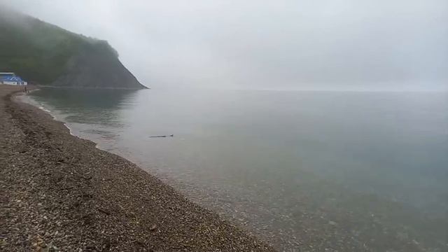 10 минут морского утра .Архипо-Осиповка. смотреть онлайн