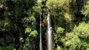 Этот день сотворил Господь Караоке минус