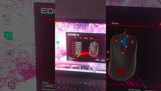 быстрый обзор на игровую мышь set gaming edge x