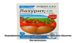 Инструкция по применению Граунда от сорняков: описание, характеристика и правильная дозировка преп.