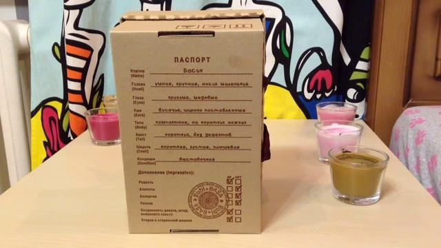 Плюшевый котенок basik&ko