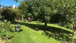 Vlog 401 - Любимый английский сад и его вековые деревья