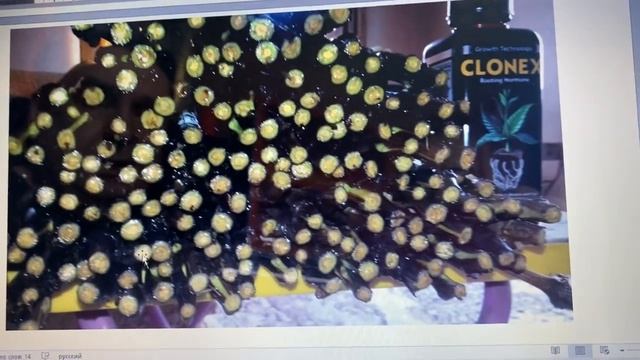 Школа А. П. Рыкалина. Практическое занятие 1. смотреть онлайн