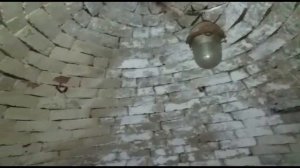 Секреты создания погреба для фруктов и овощей: идеальный природный холодильник