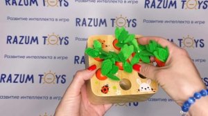 Сортер 'Морковки'