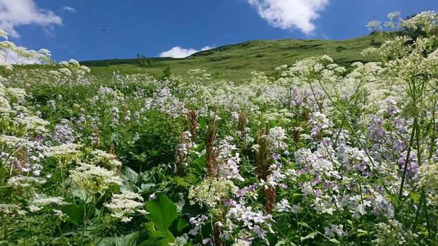 Roberto Di Marino. Ноктюрн. Для виолончели и гитары. смотреть онлайн