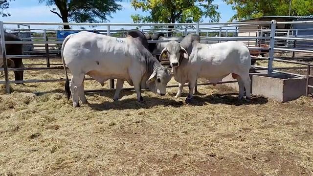 Agri Monitor - 9 November 2021 смотреть онлайн