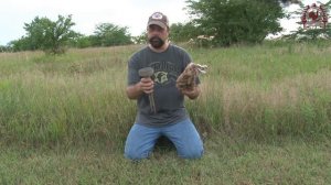 Реально работающая приманка на хищника Lucky Duck Quiver Critter