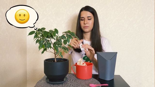 Заботимся о природе вместе. Ухаживаем за растениями и учимся сортировать мусор. Видеоурок для детей