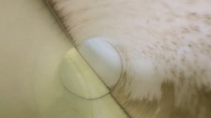 Водные горки в Дубае от первого лица