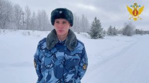 Кинолог ЛИУ-17 рассказал, как защититься от нападения бродячих собак