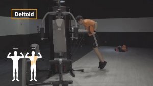 EXERCISE GUIDE - MultiGYM BH New G152NFD ?️