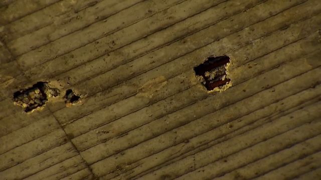 Protect with Protectosil® | Evonik смотреть онлайн