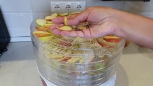 Яблочный витаминный чай - какая польза и как приготовить чай с яблоком, имбирем и корицей