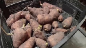 Как сделать вентиляцию в гараже