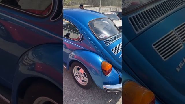 Frog beetle#cars #classiccars #vintagecars #viral #volkswagen #beetle #germany #frog