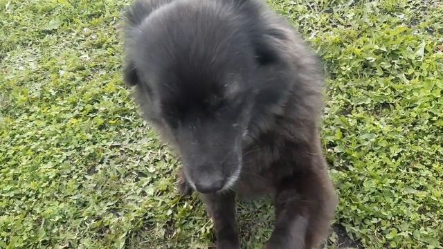 5 февраля 2024 г. смотреть онлайн