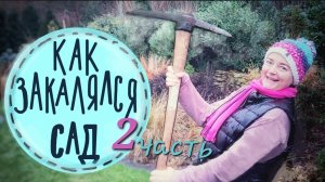 Вторая часть!  Чем закончились 6 лет пересадок? 10 секретов планирования сада.