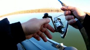 Рыбалка на Кубани.Шапсугское водохранилище.Ставлю кружки.Выпускаю живца!