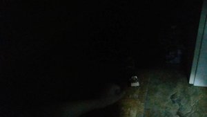 Доцент и его напарник... 14 серия