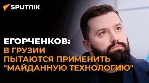 Грузия пытается избежать "майданной технологии" госпереворота – российский политолог