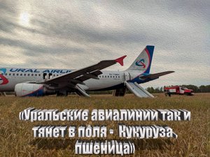 Самолет, стюардесса - поле