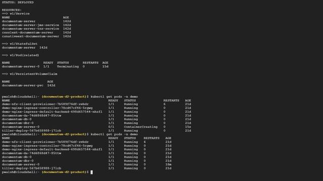 Upgrading Documentum using containers - Part 2 - Running the upgrade смотреть онлайн