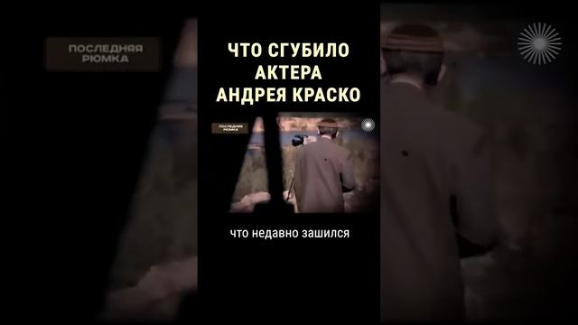 Пагубная привычка убила Андрея Краско #shorts