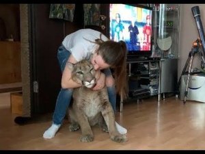 Какой сегодня праздник? День котов!