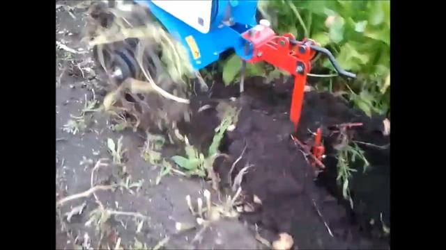 МОТОБЛОКОМ КОПАЕМ КАРТОФЕЛЬ.(НЕВА) смотреть онлайн