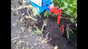 МОТОБЛОКОМ КОПАЕМ КАРТОФЕЛЬ.(НЕВА)