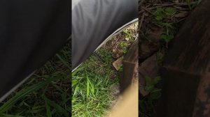 наконечник рулевой Шкода Фабия 2