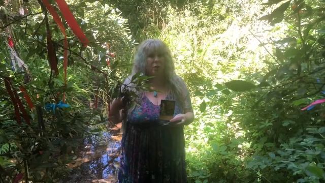 Oracle Reading at Madron Wishing Tree with Karen Kay Oracle of the Fairies смотреть онлайн