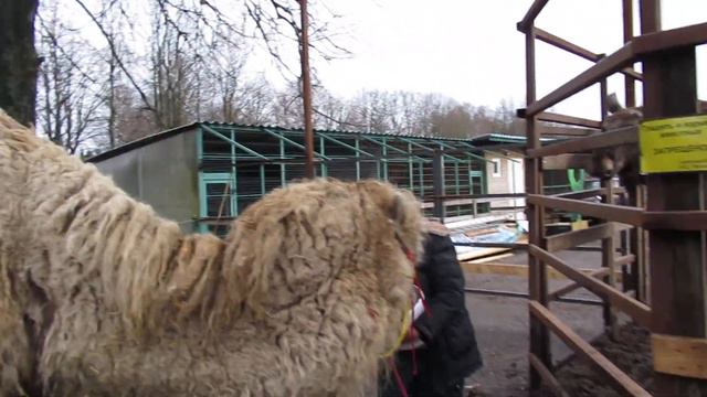 Первые шаги по Велесу смотреть онлайн