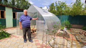 Бассейн в теплице "Капелька".